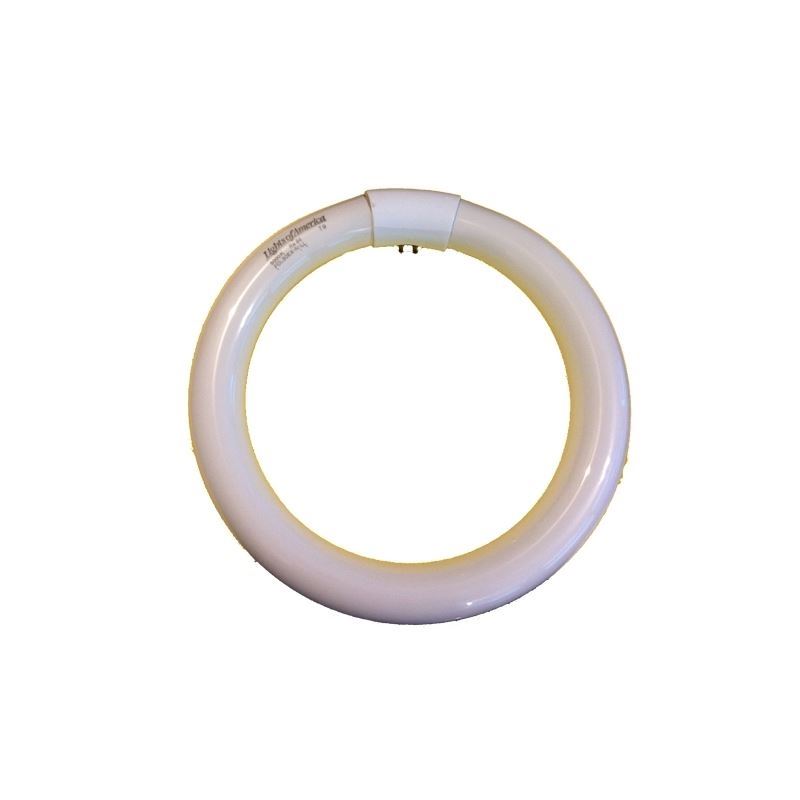 Havells FC12T9/CW 32w 12 Diameter Circline Fluorescent